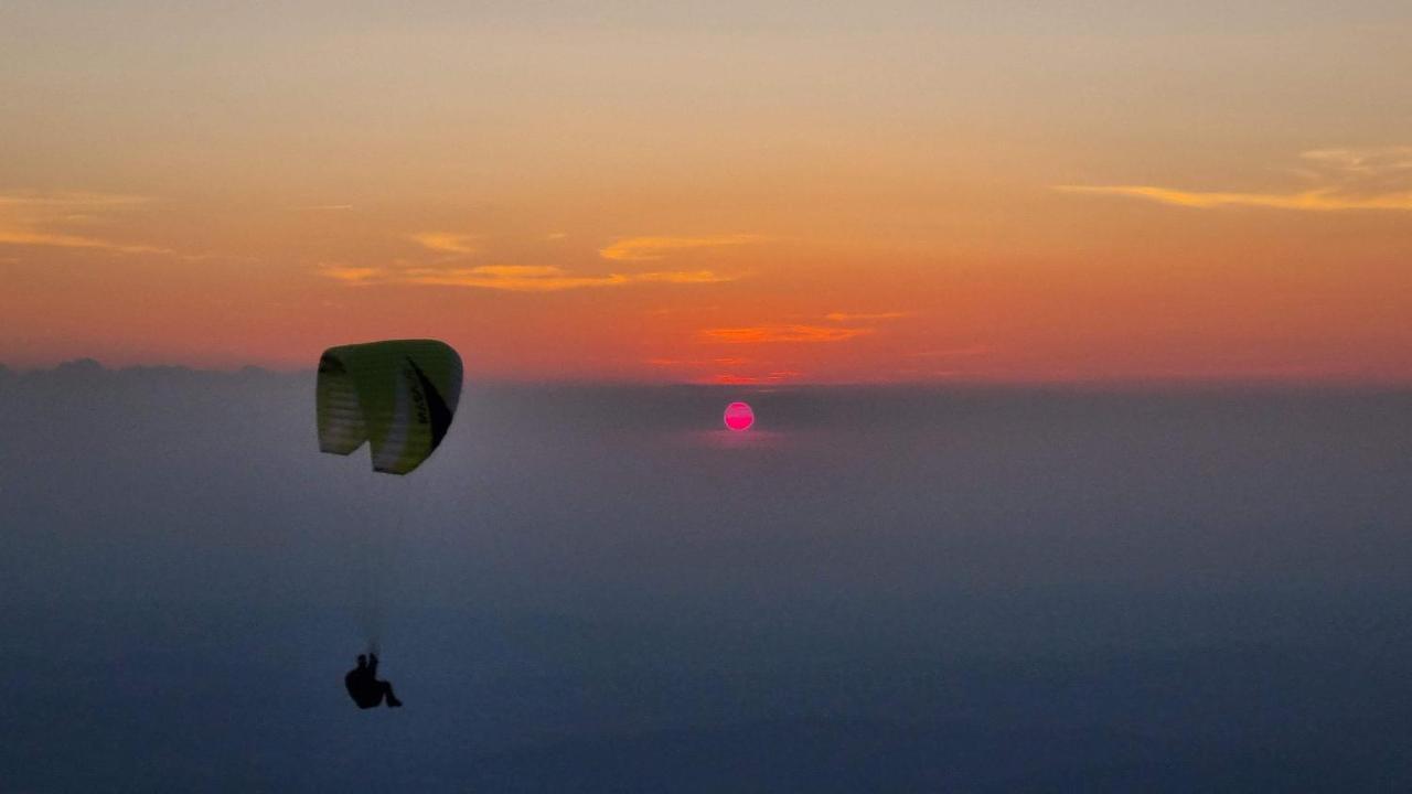 La Belle Histoire Gite Ventoux Bedoin Bagian luar foto